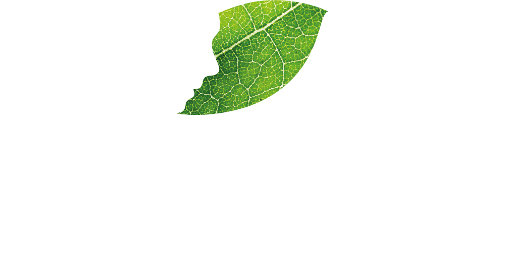 L’Avyanna Skin Natural Logo